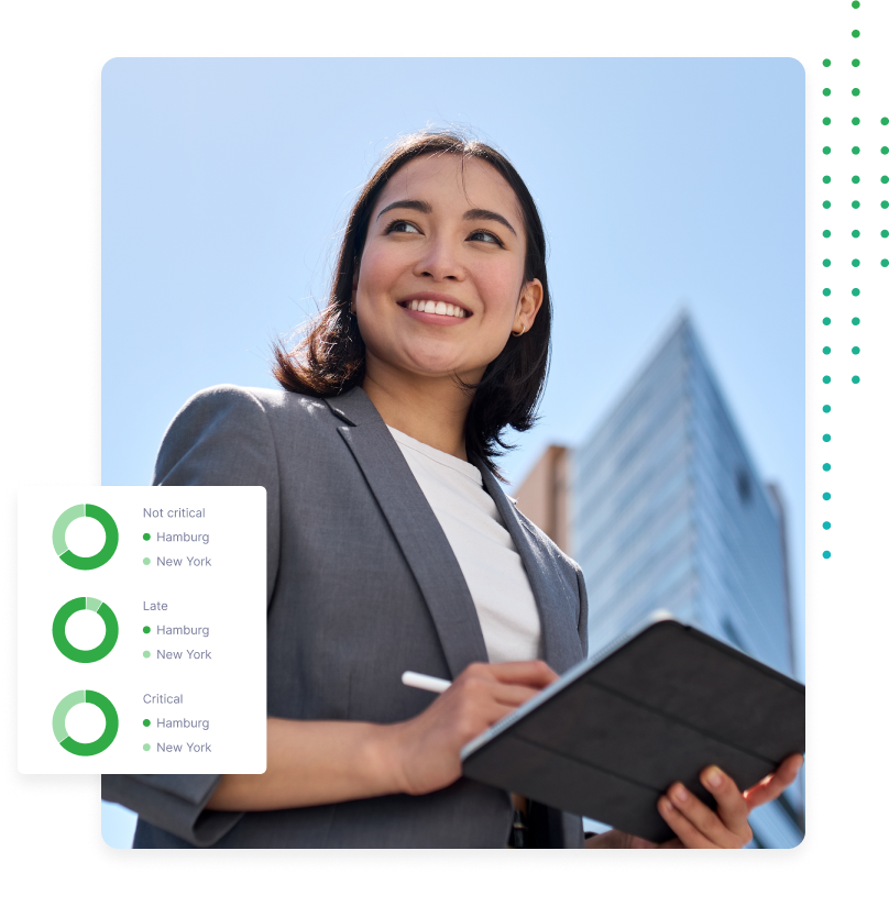 Img Role Bi Manager 