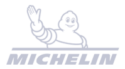 Michelin 200x110